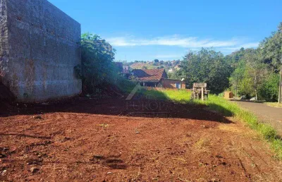Terreno à venda, 300 m² por r$ 85.000,00 - jardim neman sahyun - londrina/pr