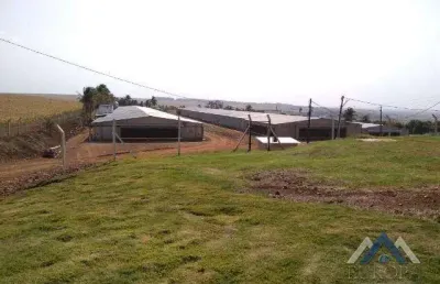 Sítio à venda, 170000 m² por r$ 6.100.000,00 - rural - alvorada do sul/pr