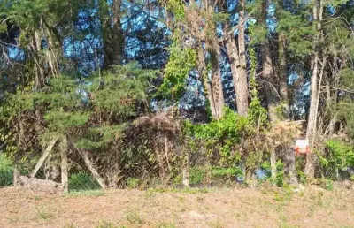 Terreno a venda no recanto das canjaranas em vinhedo