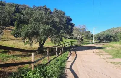 Terreno à venda, 13100 m² por r$ 1.200.000 - porto do carro - cabo frio/rj