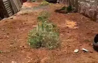 Terreno à venda no Jardim Morada do Sol, Indaiatuba 