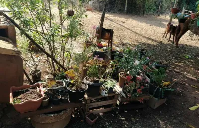 Fazenda à venda na Área Rural de Araguari, Araguari 