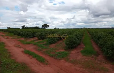 Fazenda à venda na Área Rural de Araguari, Araguari 