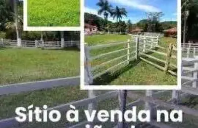 Sítio à venda no bairro área rural de araguari - araguari/mg