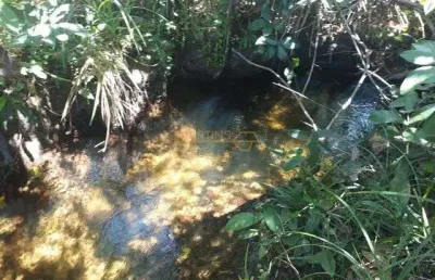 Chácara / sítio com 1 quarto à venda na Área Rural de Araguari, Araguari 