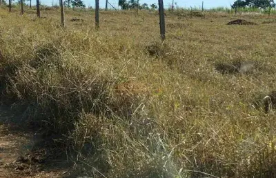 Fazenda à venda na Área Rural de Araguari, Araguari 