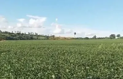 Fazenda à venda na Rua Antônio Lemos da Silva, Centro, Araguari