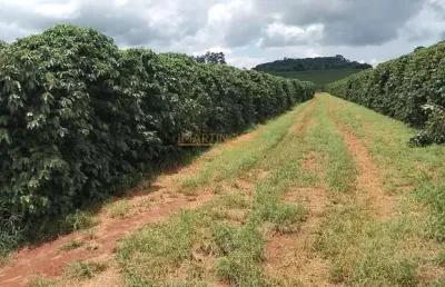 Fazenda à venda na Rua Antônio Lemos da Silva, Centro, Araguari