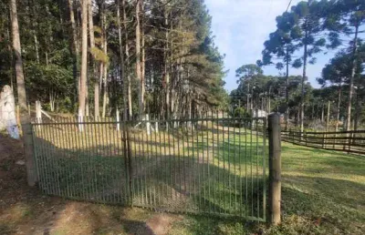 Terreno à venda no rio vermelho, campo alegre  por r$ 1.380.000
