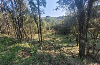 Terreno à venda na zona rural, campo alegre  por r$ 610.000