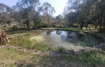 Chácara / sítio com 1 quarto à venda na avenquinha, campo alegre  por r$ 590.000
