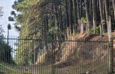 Terreno à venda no rio vermelho, campo alegre  por r$ 690.000