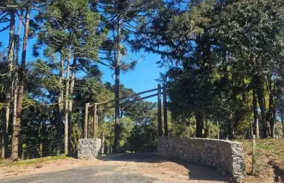 Terreno à venda no bateias de cima, campo alegre  por r$ 625.537