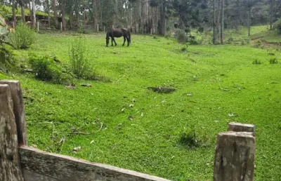 Chácara / sítio à venda em são miguel, campo alegre  por r$ 2.200.000