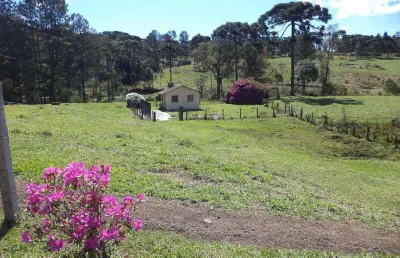 Chácara / sítio com 2 quartos à venda em são miguel, campo alegre , 50 m2 por r$ 420.000