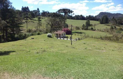 Chácara / sítio com 2 quartos à venda em são miguel, campo alegre , 50 m2 por r$ 420.000
