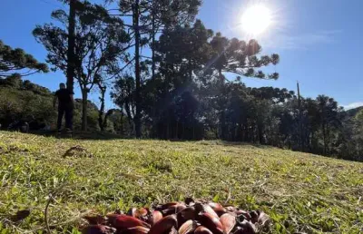 Terreno à venda no bateias de baixo, campo alegre  por r$ 650.000