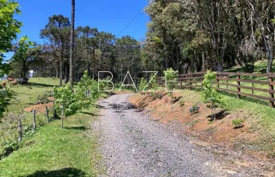 Terreno à venda em são miguel, campo alegre  por r$ 1.500.000