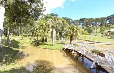 Chácara / sítio com 3 quartos à venda na avenquinha, campo alegre , 418 m2 por r$ 2.800.000