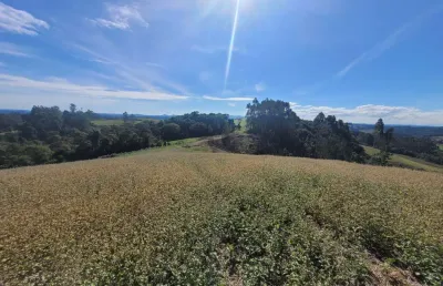 Terreno à venda no bateias de cima, campo alegre  por r$ 910.000