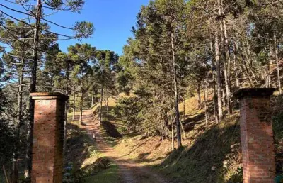 Terreno à venda em são miguel, campo alegre  por r$ 700.000