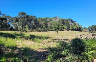 Terreno à venda na avenquinha, campo alegre  por r$ 1.000.000
