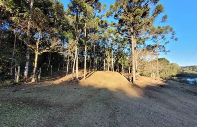 Terreno à venda no lageado, campo alegre , 200 m2 por r$ 950.000