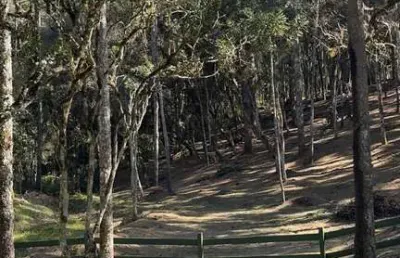 Terreno à venda no lageado, campo alegre , 200 m2 por r$ 950.000