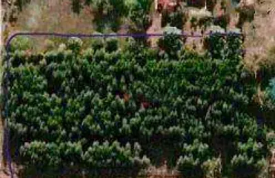 Terreno à venda, 5000 m² por r$ 350.000,00 - alpes das águas - são pedro/sp