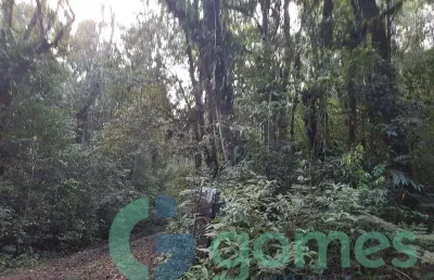 Terreno à venda, 27285 m² por r$ 380.000,00 - borda do campo - são josé dos pinhais/pr