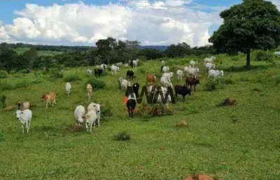 Fazenda à venda, 968000 m² por r$ 5.300.000,00 - zona rural hidrolandia - hidrolândia/go