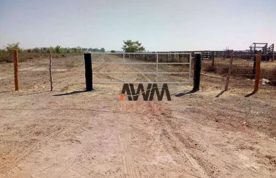 Fazenda à venda, 58080000 m² por r$ 130.000.000,00 - zona rural - santana do araguaia/pa