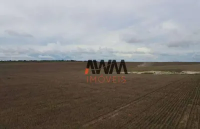 Fazenda à venda, 19989200 m² por r$ 35.000.000,00 - zona rural - brejinho de nazaré/to