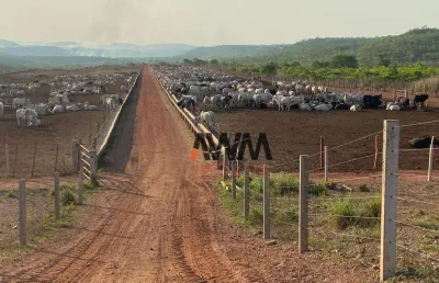 Fazenda à venda, 30000000 m² por r$ 71.300.000,00 - zona rural - pindorama do tocantins/to