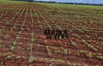 Fazenda à venda, 100000000 m² por r$ 400.000.000,00 - setor central - pedro afonso/to