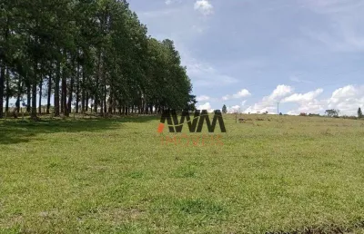 Fazenda 82 ha entre taguatinga e brazlândia à venda, por r$ 16.000.000 - brazlândia/df