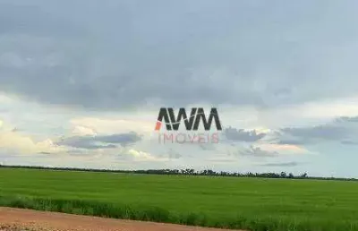 Fazenda à venda, 72600000 m² por r$ 225.000.000,00 - zona rural - duerê/to