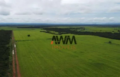 Fazenda à venda, 48400 hectares por r$ 120.000.000 - centro - formosa/go