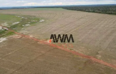Fazenda à venda, 3.000,80 hectares por r$ 92.000.000 - setor central - araguaína/to