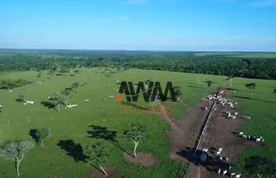 Fazenda à venda, 62800000 m² por r$ 120.000.000,00 - vila nova - paranatinga/mt