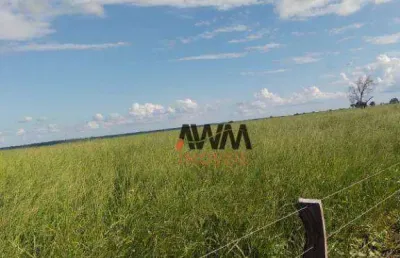 Fazenda à venda, 38329412 m² por r$ 43.560.000,00 - zona rural - monte do carmo/to