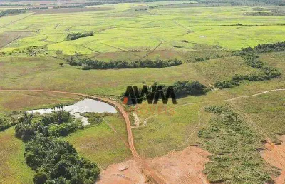 Fazenda à venda, 43560000 m² por r$ 135.000.000,00 - centro - ananás/to