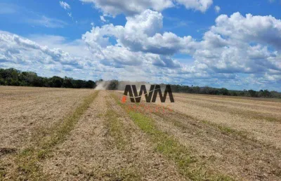 Fazenda à venda, 22264000 m² por r$ 46.000.000,00 - zona rural - santa maria do tocantins/to