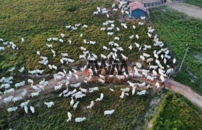 Fazenda à venda, 105028000 m² por r$ 330.000.000,00 - velha marabá - marabá/pa