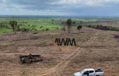 Fazenda à venda, 10406000 m² por r$ 27.000.000,00 - centro - goianésia do pará/pa