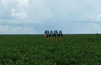 Fazenda à venda, 11520000 m² por r$ 65.000.000,00 - anhangüera - goiânia/go