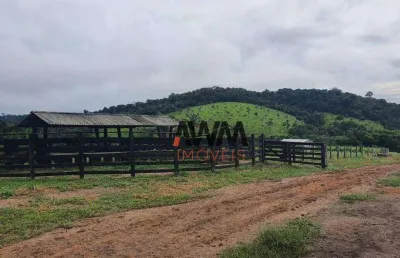 Fazenda à venda, 114830000 m² por r$ 35.000.000,00 - aeroporto velho - itaituba/pa
