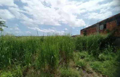 Terreno urbano para venda em salvador, águas claras