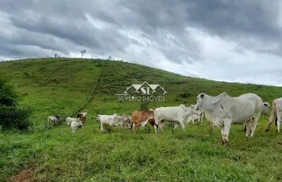 Fazenda à venda no Centro, Paraíba do Sul 