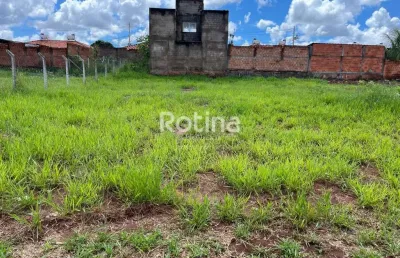 Terreno para alugar, shopping park - uberlândia/mg - rotina imobiliária